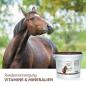 Preview: Aniforte 4in1 Complete Horse - Rundumversorgung - rein pflanzlich | Pferd