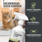 Preview: ReaVET Giardien Stop Spray 500 ml – Hygienische Sauberkeit für die Tierumgebung