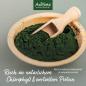 Preview: Aniforte Bio Spirulina Pulver 250g  für Hunde und Katzen