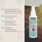 Preview: Aniforte Denta Clean & Care Dentalspray 100ml