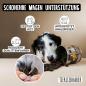 Preview: Hund zeigt das typische Schlittenfahren (Rutschen auf dem Po) als Symptom für volle Analdrüsen.