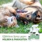 Preview: Aniforte Milben-STOP Spray: Effektiver Schutz für Hunde, Katzen, Pferde & Co.