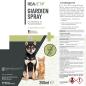 Preview: Reavet Giardien-Spray für Hunde, Katzen und alle Haustiere 250ml