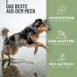 Preview: Reavet Grünlippmuschel Pulver Extrakt- für Hunde, Katzen & Pferde