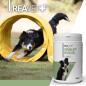 Preview: Reavet Grünlippmuschel Pulver Extrakt- für Hunde, Katzen & Pferde