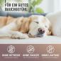 Preview: Hund frisst Magenpulver zur Beruhigung schlafender Hund