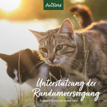 Aniforte BARF Complete Cat Rundumversorgung für Katzen