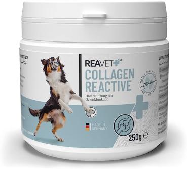 ReaVET Collagen Reactive zur Unterstützung der Gelenkfunktion 250g