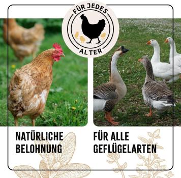 Aniforte FarmLife Geflügel Wohlfühlkräuter