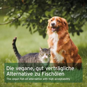 Pflanzliche Alternative zu Fischöl – AniForte Algenöl für Tiere