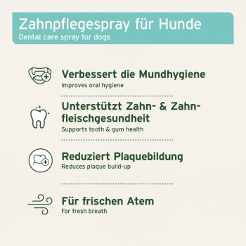 uftragen von AniForte Dentalspray mit einem weichen Tuch bei geräuschempfindlichen Hunden