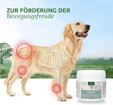 AniForte Gelenk-VETAL 3 Gelenkpulver für Hunde 250g