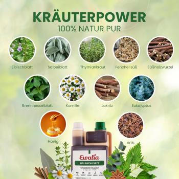 Preview: Ewalia Kräuter Hustensaft  Halswohlsaft für Pferde 1L Unterstützung der Atemwege