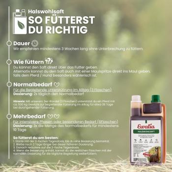 Preview: Ewalia Kräuter Hustensaft  Halswohlsaft für Pferde 1L Unterstützung der Atemwege