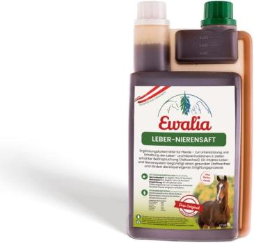 Ewalia Leber-Nierensaft – natürliche Unterstützung für Leber & Nieren beim Pferd