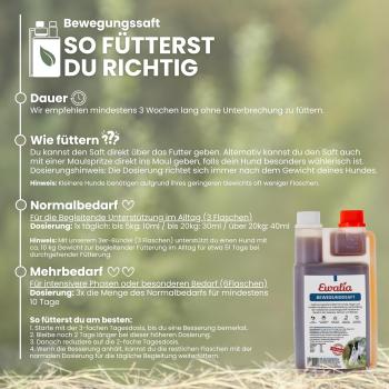 Preview: Fütterungsempfehlung und Dosierungstabelle für EWALIA Kräutersaft nach Gewicht des Hundes