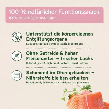 AniForte Detox Snack für Hunde 300g