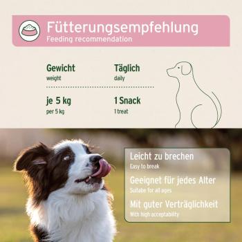 AniForte Detox Snack für Hunde 300g