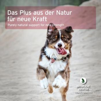 AniForte Detox Snack für Hunde 300g