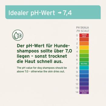 Aniforte Neemöl Shampoo für Hunde 500ml