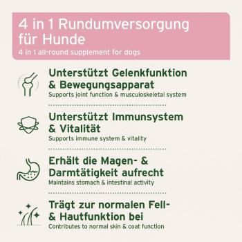 Preview: Aniforte 4in1 Complete Dog 250g   - Immunsystem, Fellkraft, Magen & Darm