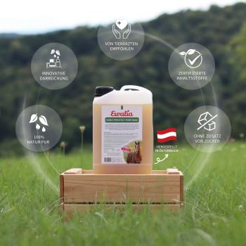 EWALIA InsectProtect Pure Max – Der hochwirksame Rundumschutz gegen Lästlinge