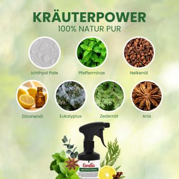 Preview: EWALIA InsectProtect Pure Max – Der hochwirksame Rundumschutz gegen Lästlinge