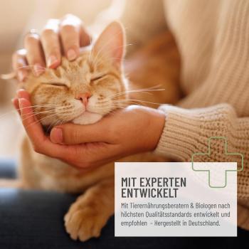 Preview: Nierenpflege für Katzen – mit Brennnessel, Goldrute & Ginkgo
