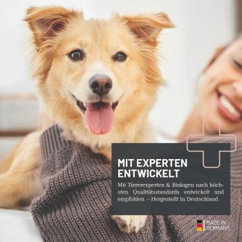 REAVET Darm Prebiotic – Unterstützt die natürliche Darmflora von Hunden