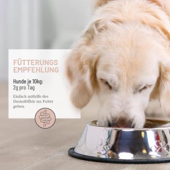 REAVET Darm Prebiotic – Unterstützt die natürliche Darmflora von Hunden