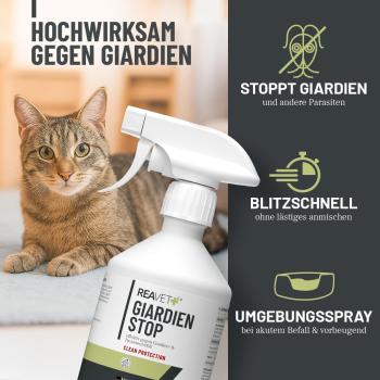 Preview: ReaVET Giardien Stop Spray 500 ml – Hygienische Sauberkeit für die Tierumgebung
