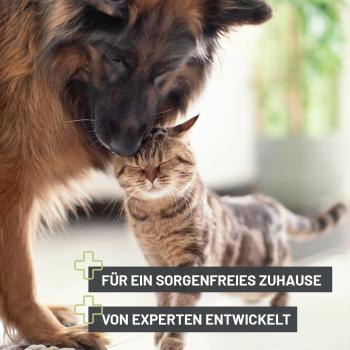 ReaVET Giardien Stop Spray 500 ml – Hygienische Sauberkeit für die Tierumgebung