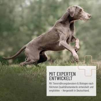 Preview: ReaVET Kartoffelflocken 1kg – Getreidefreie BARF-Beilage & Schonkost für Hunde