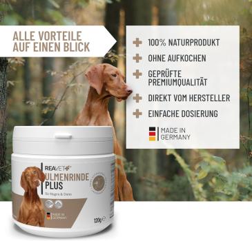 Preview: Einfache Zubereitung der ReaVET Ulmenrinde Plus: Pulver mit heißem Wasser anrühren und quellen lassen – kein Kochen nötig