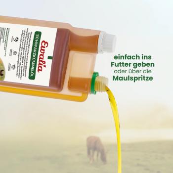 Preview: Goldgelbes hochwertiges Schwarzkümmelöl von EWALIA zur Unterstützung bei Sommerekzem