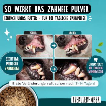 Preview: Einstreuen des TIERLIEBHABER Zahnfee Pulvers über das tägliche Hundefutter