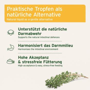 AniForte® Wurm Kraut W-Liquid – Natürliche Darmabwehr für Hunde & Katzen Kleintiere