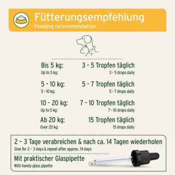 AniForte® Wurm Kraut W-Liquid – Natürliche Darmabwehr für Hunde & Katzen Kleintiere