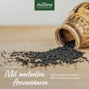 Aniforte ägyptische Schwarzkümmelsamen für Pferde 1kg