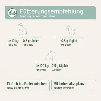 AniForte Grünlippmuschel Pulver – natürliche Gelenkpflege für Hunde  Pferde & Katzen