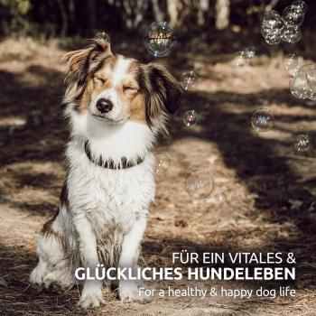 Aniforte BARF-Line Premium Futteröl für Hunde - Essentielle Fettsäuren