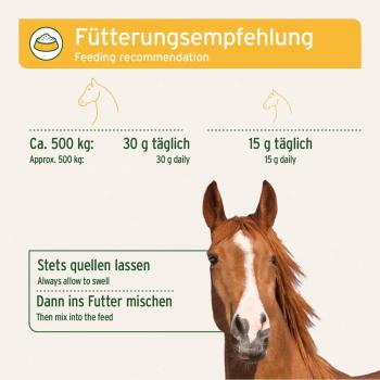 AniForte Flohsamenschalen mit hoher Quellkraft zur Prophylaxe von Sandkolik beim Pferd