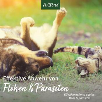 AniForte Floh-Ex Flohspray für Hunde & Katzen 250 ml