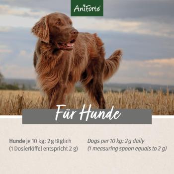 Aniforte MagenSanft®  500g für Hunde - gesunde Verdauung & Magen-Darmtätigkeit