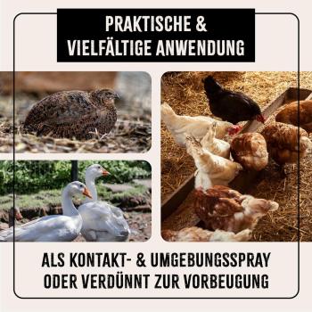 Preview: Natürliches Repellent gegen Federlinge und Läuse mit Zitroneneukalyptusöl und Geraniol