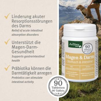 AniForte® plus Magen & Darm Tabletten - 90 Stück - Diätfutter