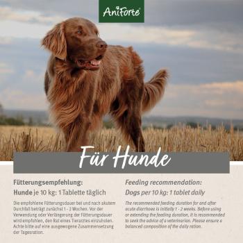 AniForte® plus Magen & Darm Tabletten - 90 Stück - Diätfutter