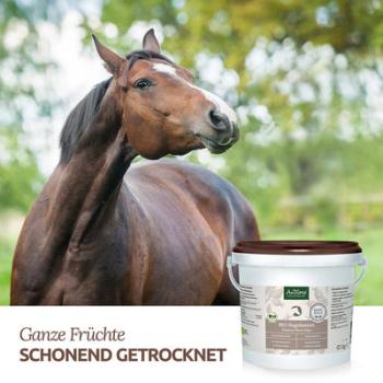 Aniforte 1 kg Bio Hagebutten für Pferde & Ponys