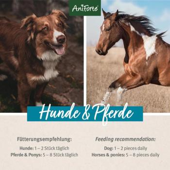 AniForte Kokos-Sticks 500g Leckerlis für Hunde und Pferde