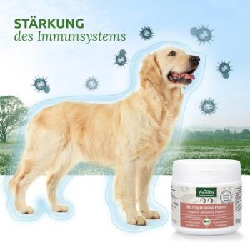 Aniforte Bio Spirulina Pulver 250g  für Hunde und Katzen